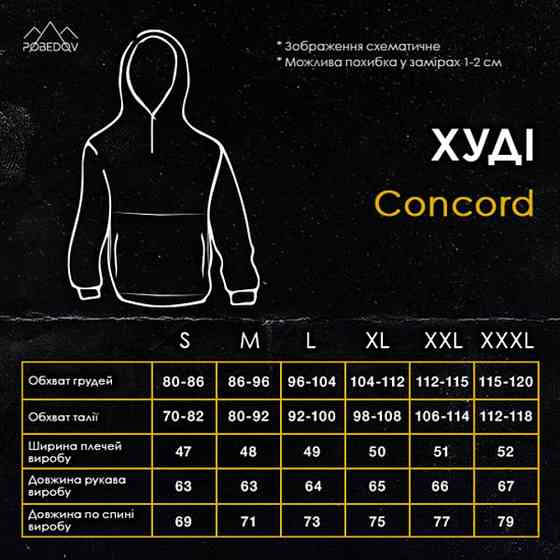 Теплое мужское худи зимнее чёрное Pobedov Concord Киев