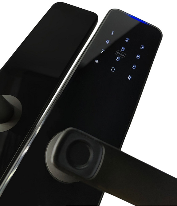 PES Collie чорний Київ - фото 8