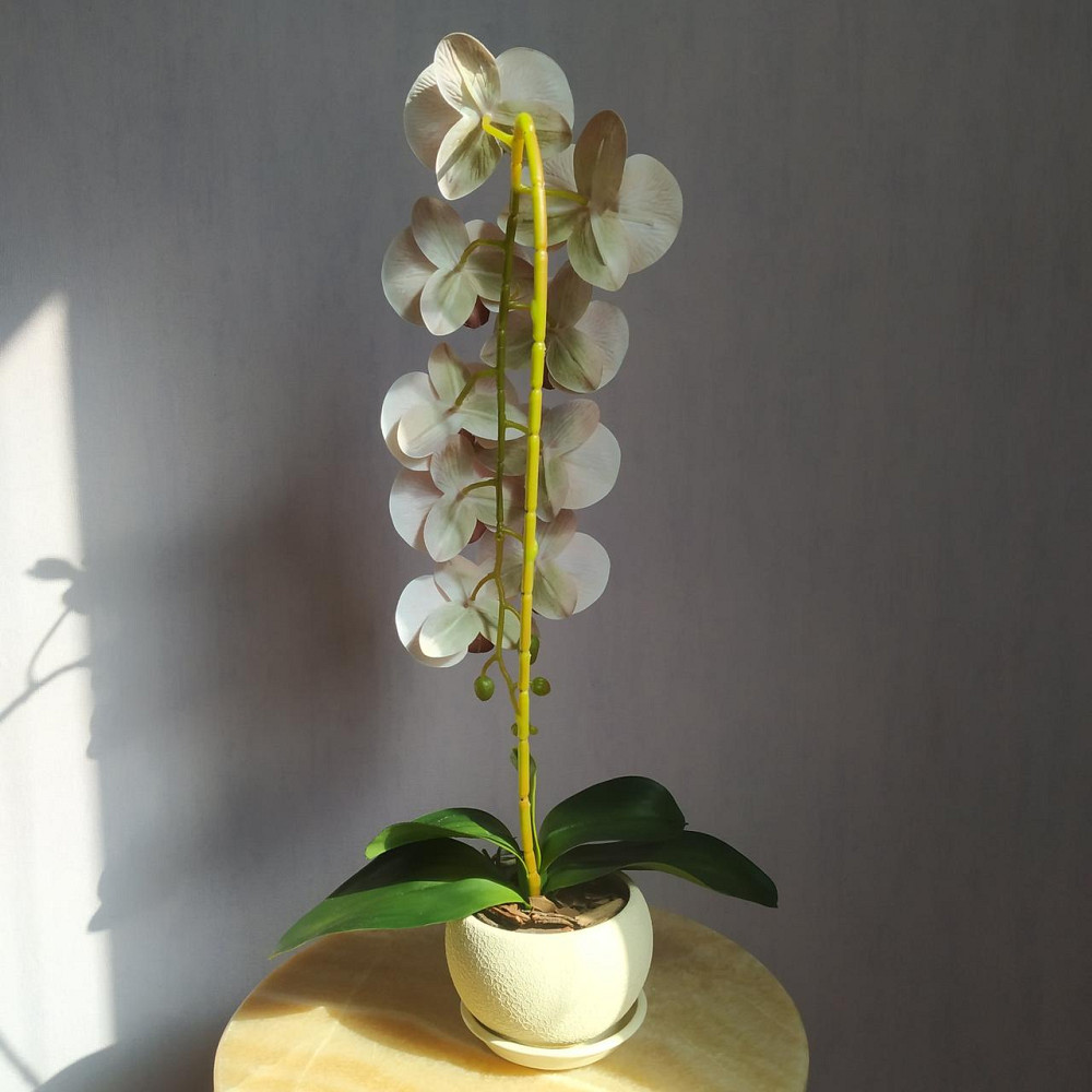 Штучна латексна орхідея VIP у бежевому керамічному кашпо на одну пудрову гілку. Дніпро - фото 5