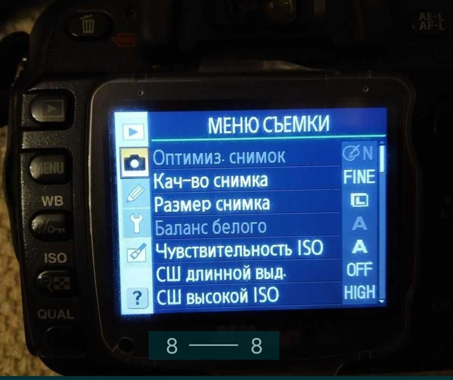 Фотоаппарат: NIKON D80 + AF+S DX NIKKOR 18-135mm. 1:3.5 -5.6 G VR. Харьков - изображение 4