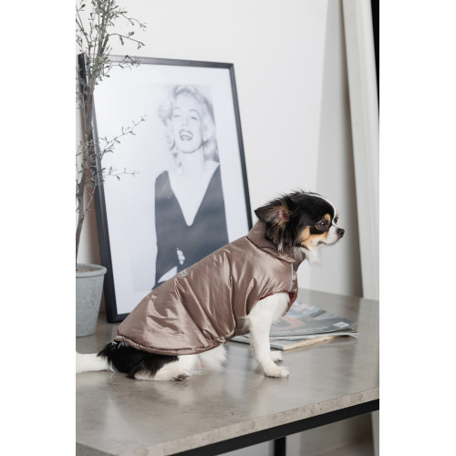 Жилет Pet Fashion Hardy для собак утепленный водонепроницаемый с отверстием для поводка бежевый размер M2 Киев - изображение 6