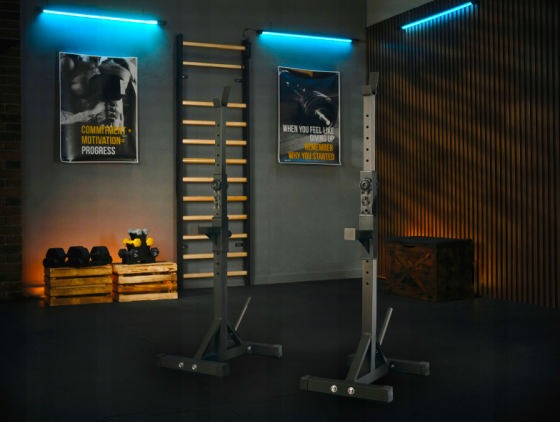 Стійки під штангу Trex Sport TX-090S регульовані Киев