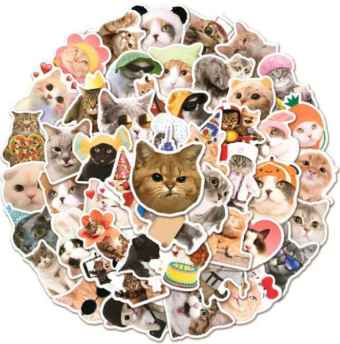 Наклейки Стікери Коти - Водонепроникні Вінілові Естетичні Наклейки з Котами для Пляшки Води, Комп'ют Київ - фото 2