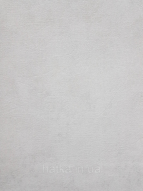 Шпалери метрові вінілові на флізеліні A.S.Creation Flowers Symphony 1.06x10 м під штукатурку світло-сірі 79071-2 Київ - фото 2