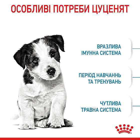 Роуал Canin Mini Puppy (Рояв Канін Міні Паппі) сухий корм для цуценят маленьких порід 8 кілограмів. Запоріжжя
