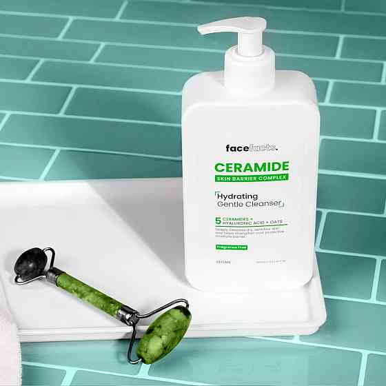 Зволожуючий засіб з керамідами для очищення шкіри обличчя Face Facts 200 мл Київ