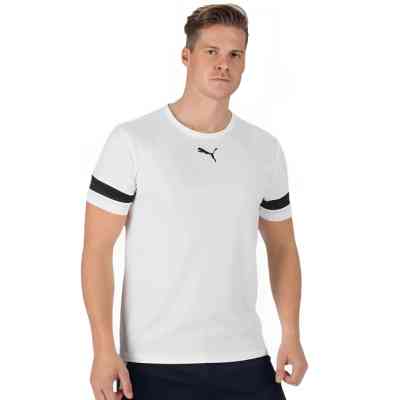 Футболка Puma teamRISE Jersey 704932-04 білий L (4063699212785) Винница