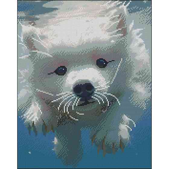 Алмазна мозаїка "Пухнастий плавець" ZAV4050-9 без підрамника 40х50 см Вінниця