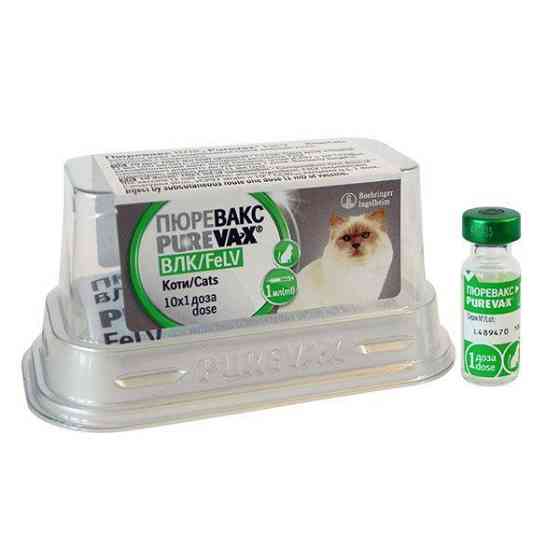 Вакцина Пюревакс Purevax FELV для кішок проти лейкемії (1 доза - 1 флакон) Вінниця