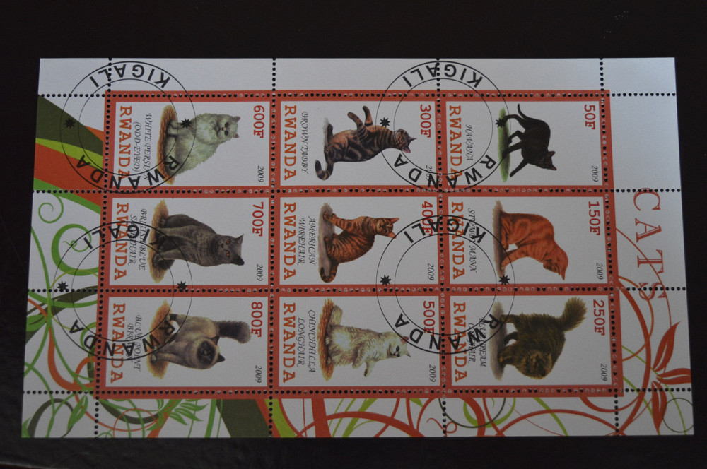 Руанда. Фауна. 2009 рік Полтава - фото 1