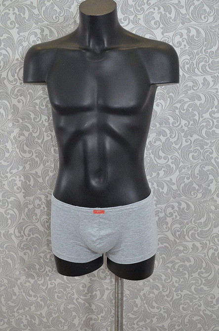 Трусы мужские боксеры Lans 07/005 Киев - изображение 2