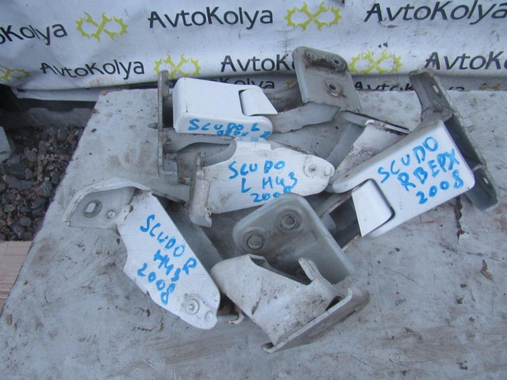 Петля задніх дверей Peugeot Expert 2007-2016 (комплект) Ковель - фото 1