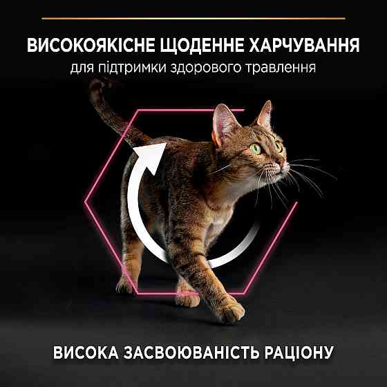 Сухой корм PRO PLAN Adult 1+ Delicate Digestion для взрослых кошек с чувствительной пищеварительной системой, с индейкой, 10 кг Киев