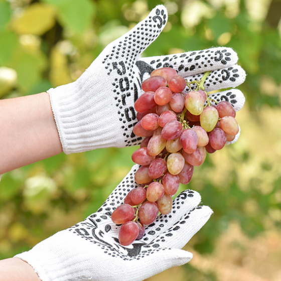 Рукавички 4895 трикотаж з малюнком ПВХ р.8(M) клас 10 білий КотоФан ДКГ Житомир - фото 4