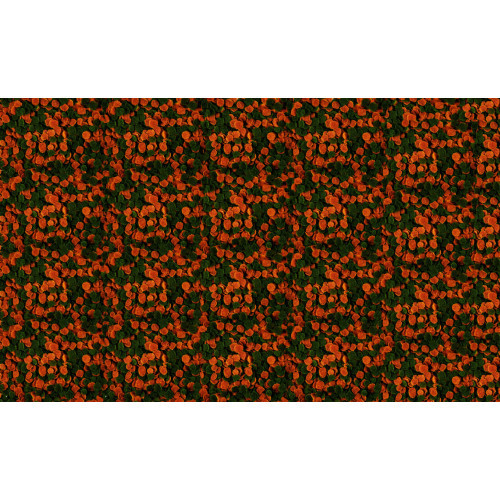 Корм сухий Tetra Micro Crisps для тропічних акваріумних рибок в чіпсах 100мл Київ - фото 6