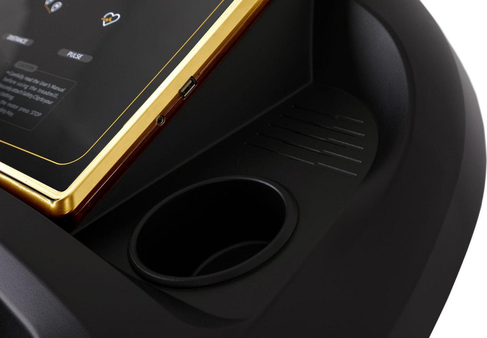 Беговая дорожка электрическая Zipro Pacemaker Gold iConsole+ Киев - изображение 8