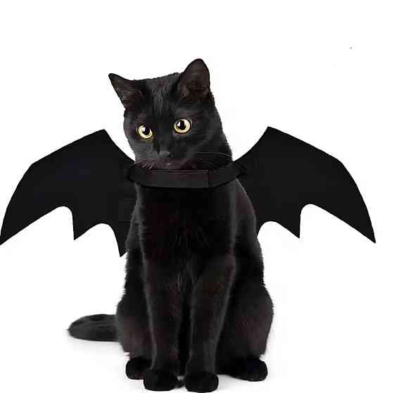 Крила кажана косплей для собак і котів крила на Хелловін чорний Київ