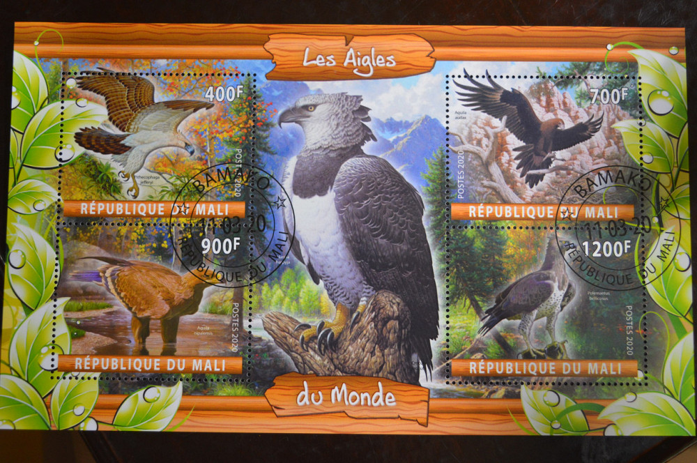 Мали. Марки. Фауна. Блок. 2020 год (В-2) Полтава - изображение 1