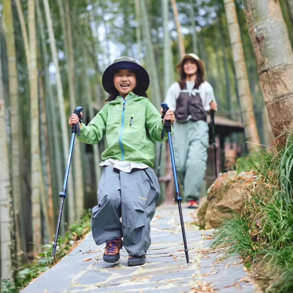 Треккинговая телескопическая палка Naturehike CNK2550DS010 Sunlit Terk Base, 60-135 см, зеленая Киев - изображение 4