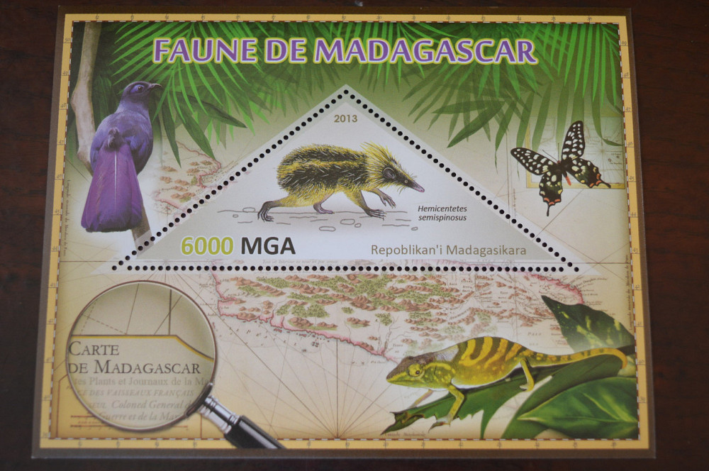 Мадагаскар. Фауна. Личности. Блок. 2014 р. (А-34) Полтава - фото 1