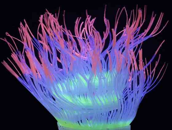 Декор в акваріум - 50см Київ