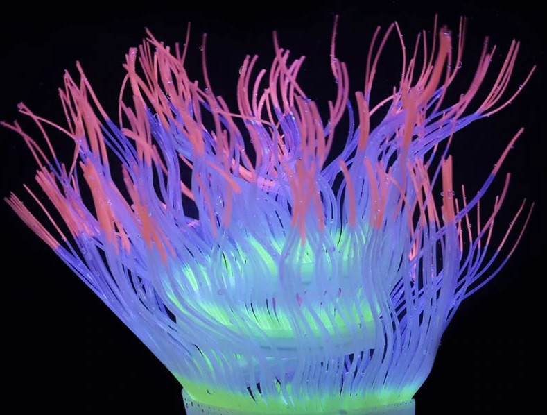 Декор в акваріум - 50см Київ - фото 1