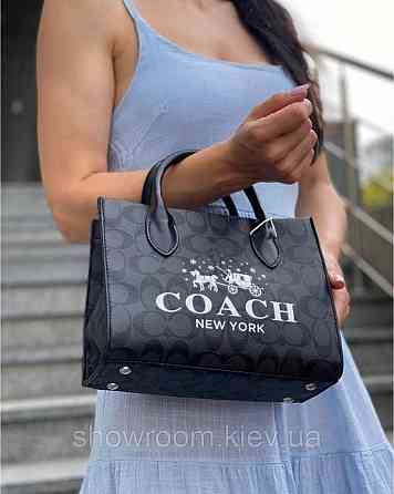 Жіноча сіра сумка Coach (6612) Київ