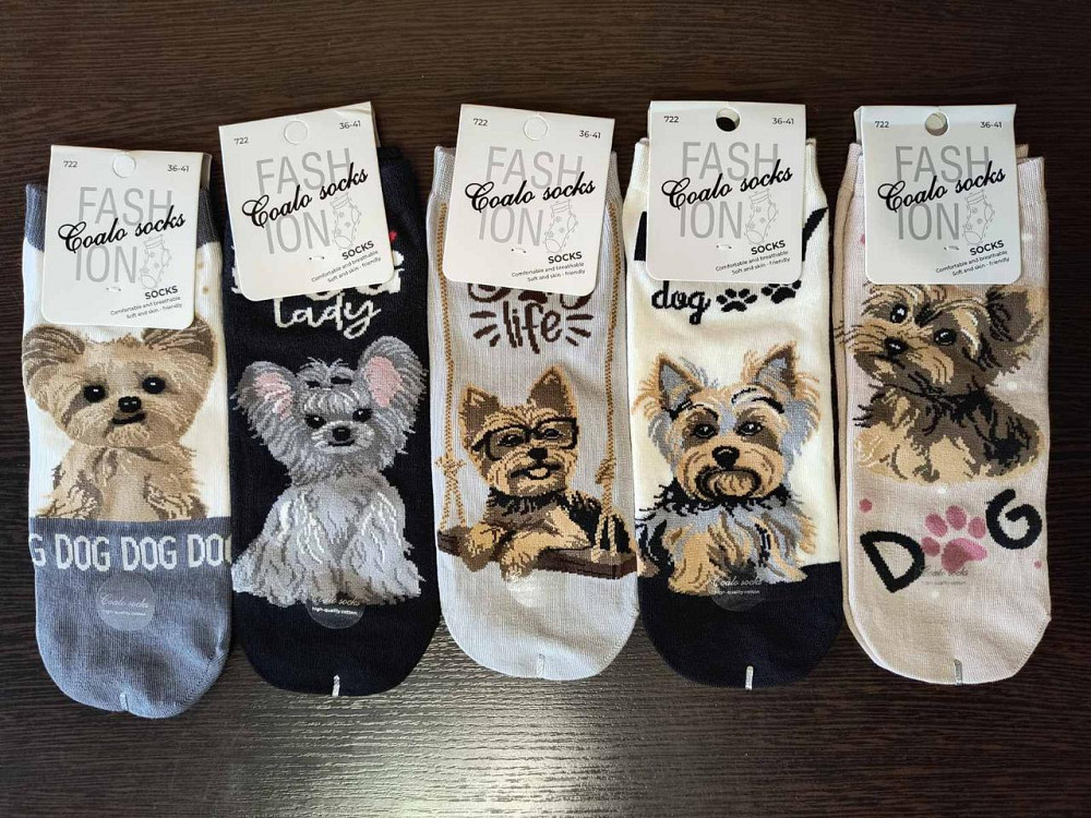 Носки женские с собачками. В наборе из 5шт. Яркие женские носки с приколами. Coalo socks. Размер 36-41 Киев - изображение 3