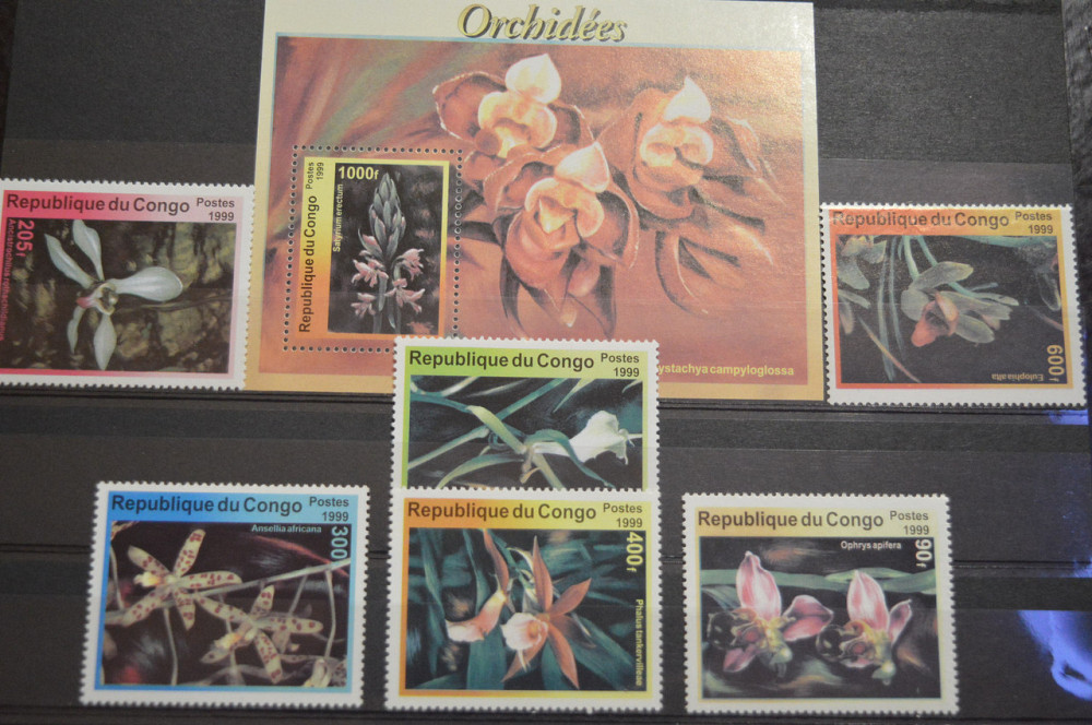 Марки. Серия. Конго (УНЦ) Полтава - изображение 1