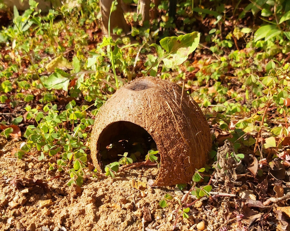 Кокосовий будиночок "Хатинка" для хом'яків, мишей та рибок тм Zelena Zoo Зміїв - фото 4
