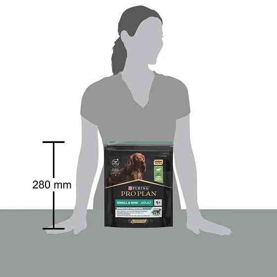 Сухой корм PRO PLAN Small&Mini Adult 1+ Sensitive Digestion для взрослых собак мелких пород, с чувствительным пищеварением, с ягненком, 700 г Киев