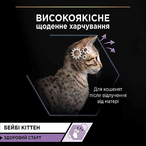Вологий корм PRO PLAN Baby Kitten Healthy Start для кошенят після відлучення від матері, мус, з куркою, 85 г Київ
