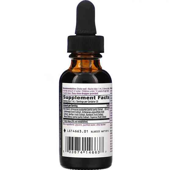 Ехінацея та Гідрастис Nature's Way Echinacea Goldenseal, 30 мл Київ