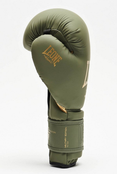 Боксерські рукавички Leone Mono Military 10 ун. Кам'янське - фото 4