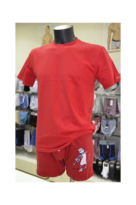 Футболка мужская Lans 12/001 Киев - изображение 3