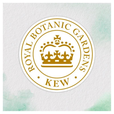 Шампунь Herbal Essences Апельсин Для об'єму волосся 350 мл (8700216210713) Вінниця - фото 3