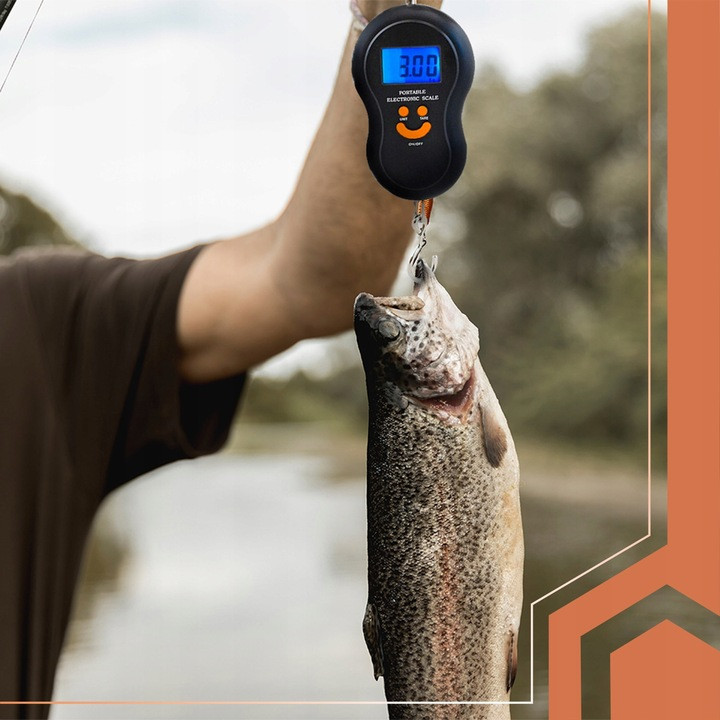 Весы ручные с крючком до 50 кг Ruhhy (26103) Батарейки 2хААА Нововолынск - изображение 4