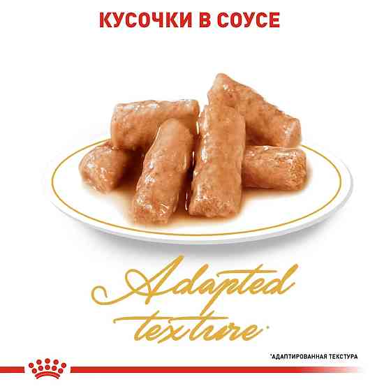 Royal Canin British Shorthair (Роял Канін Брітіш Шортхейр) вологий корм для кішок породи британська 85 г х 12 шт. Запоріжжя