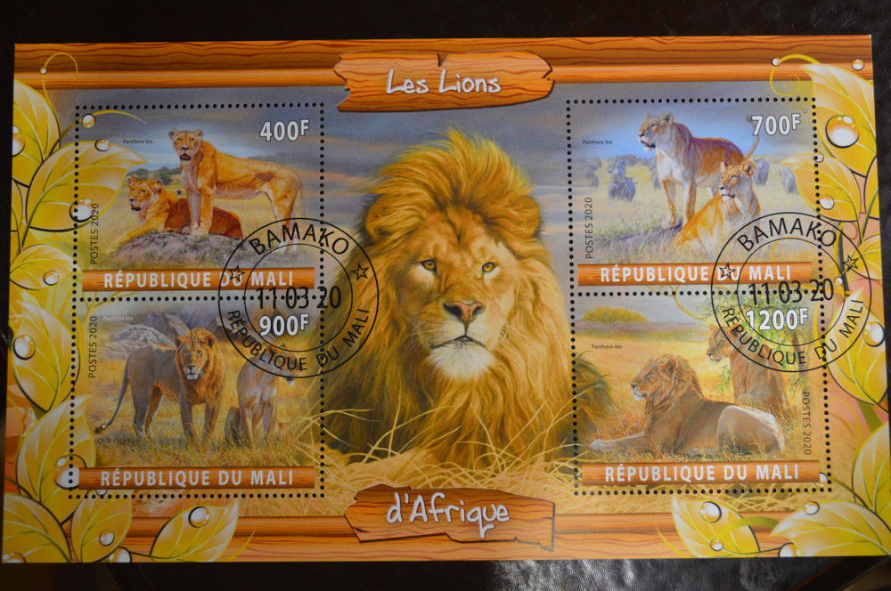 Мали. Марки. Фауна. Блок. 2020 год (В-2) Полтава - изображение 1