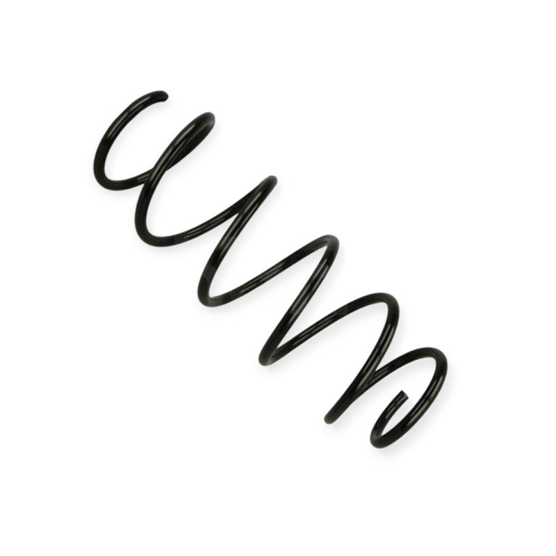 Пружина Fiat Grande Punto, Punto, Punto 1.2, 1.3D, 1.6D 05- передняя Мукачево - изображение 1