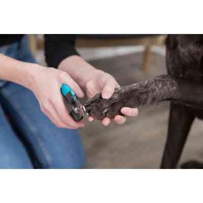 Когтерез для животных Trixie Luxe для кошек и собак 16 см (4011905023687) Винница