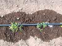 Лента капельного полива в намотке по 100 метров Харків