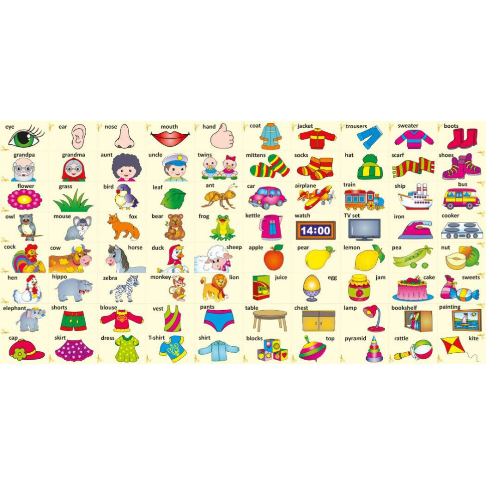 Детская книга Развивашка 