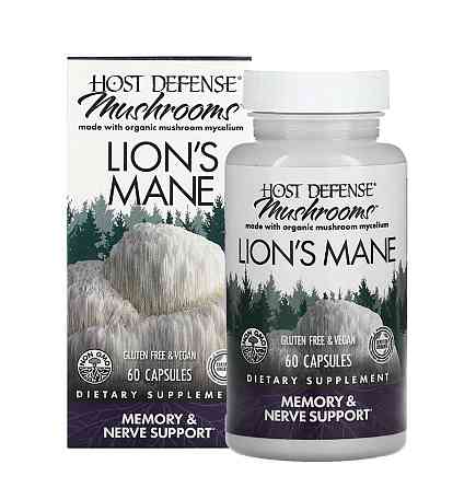 Їжовик гребінчастий (Lion&apos;s Mane) 500 мг 120 капсул Київ