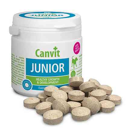 Canvit Junior for dogs (Канвіт Джуніор для собак) кормова добавка для цуценят і молодих собак 100 р. Запоріжжя