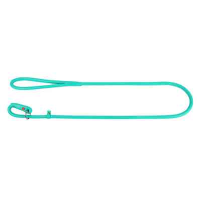 Повідець для собак WAUDOG "GLAMOUR" круглий Ш 13 мм, Д 135 см ментоловий (339613) Вінниця