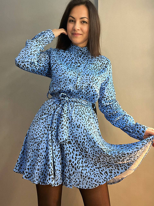 Платье женское Mix Ray 4219 леопардовый принт короткое на пуговицах с поясом голубое, голубой, M Киев - изображение 10