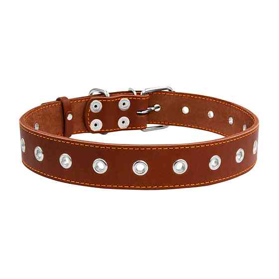Нашийник "CoLLaR" безрозмірний (ширина 35мм, довжина 69см) коричневий Коломыя