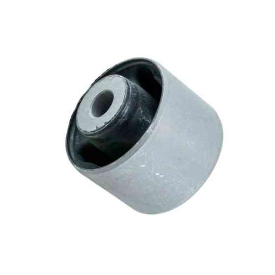 Сайлентблок заднего моста Хюндай Santa Fe, Kia Sportage 04- CTR редуктора Мукачево