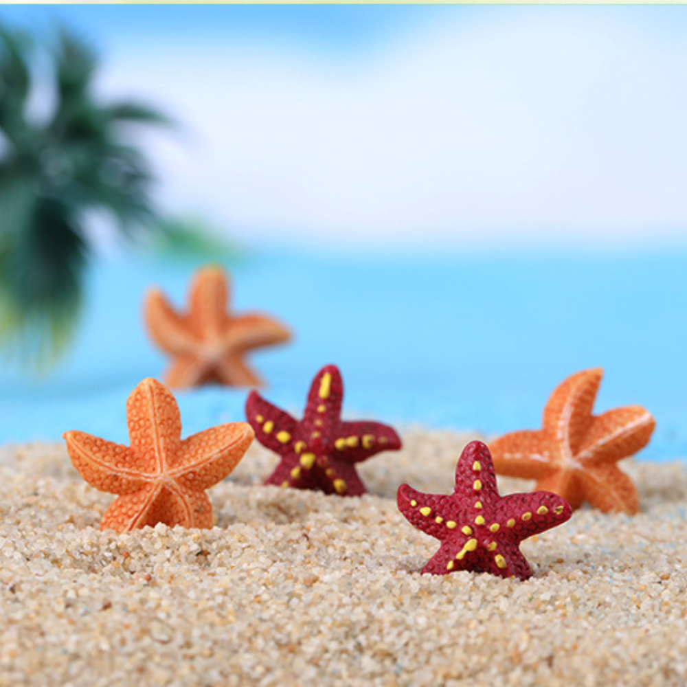 Декоративная Морская звезда для флорариума, минм-сада, микроландшафта, песочного стола, аквариума Одесса - изображение 10
